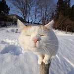 나의 마라탕레싶히^^~~~