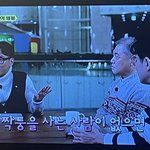 [<b>병맛</b>] 프리지아 사건과 동시에 현재 방영중인 알쓸범잡