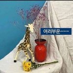 우기 <b>런</b>웨이브 복귀!!