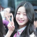 프듀시리즈 다시했으면좋겠다<b>vs</b>아니다