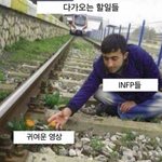 하 요즘 이누야샤 다시보는데 미칠거같음