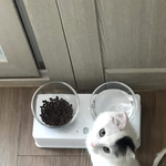 떠난 아기에 대한 죄책감과 미안함..