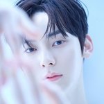 [댓글부탁해] <b>사막</b>여우상