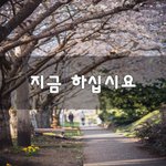 [50대] 지금 하십시요~
