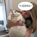 내 친구 김태희 <b>닮음</b>