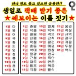 프리지아 찐 <b>구별</b>하는법 알아냄