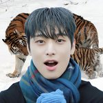 [더보이즈] <b>주연</b>이 아기소랑이