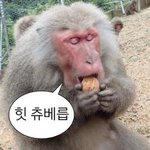 판에서 본 레전드 금수저 코스<b>프래</b>