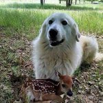 [댓글부탁해] <b>mbti</b>적구 답변해봐