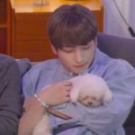 [더보이즈] <b>사</b><b>봄</b>님 간돠. 뽜이