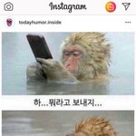프리지아 <b>여론</b> 바뀌는거 개웃김