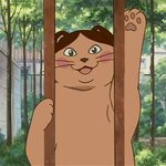 열두시간 안에 배 <b>둘레</b> 못 줄이냐ㅜㅜ