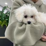 [더보이즈] 아이스티 <b>복지</b> 부럽다