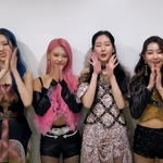 <b>모모</b>랜드 많이 사랑해 주세요