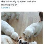 [방탄소년단] 남주니랑 막라들 <b>너모</b> 귀엽지 않니?