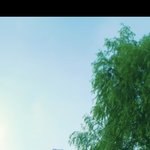 바지같은 거 <b>잘</b> 아는사람 아무나 ㅠㅠ <b>이</b> 바지 어디서 살수있어?