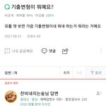 지식인 얘 뭐냐