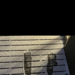 갓<b>반인</b>들아
