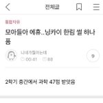 [TXT] 얘들아 이거 찐이야?ㅠㅠㅠ