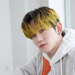 [트레저] 보너스컷