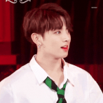 전정국 <b>안광</b>