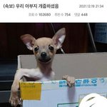 [댓글부탁해] 야 내 아이패드 오고이ㅛ대 조카기대도ㅑ 진재 아이패드...