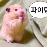 [NCT드림] <b>하아</b> 혐생 파이팅