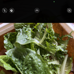[드루와] 샐러드 이정도 남길까