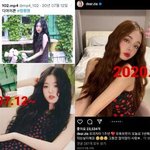 나 장원영이 프리지아 따라한다고 믿는애들