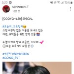 [세븐틴] 하... 나 고잉 <b>감동</b> 심하잖아...