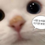 [NCT드림] 이거 나나vs<b>론진</b>