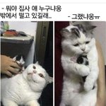 [NCT칠프] 제발... 그 머냐 <b>동</b>맠 영상계 잘 아는 찌찌 있니....