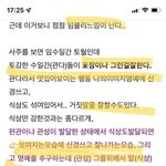 [댓글부탁해] 프리지아 사주