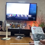 프리지아 본가 영상도 내렸네