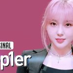 김채현 이거 완전