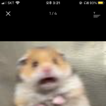 나 오늘 무서운 꿈 꿨는데