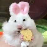 [댓글부탁해] 허니<b>버터</b>칩 어디서삼