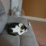 지방에서 태어났음 지방살기VS 서울살기