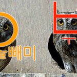 [19] 06인데 나 <b>남소</b>받았는데