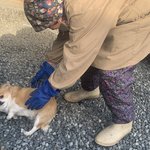 [댓글부탁해] 1살<b>연하</b>어때..???