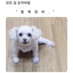 너네가 만약에 <b>양성</b>애자면
