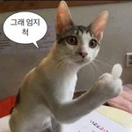 <b>판</b> <b>앱</b> 개빡치네