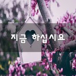 [좋은생각] 지금 하십시요~