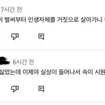 [드루와] 진짜 프리지아