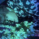 [NCT칠프] 와 툥스타 대박