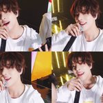 엔하이픈 폴라로이드<b>러브</b>