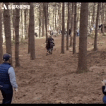 [이것좀봐줘] 태종이방원 동물학대 논란 꼭 봐줘