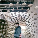 [방탄소년단] 주니 진짜 부지런히 다닌다ㅋㅋ