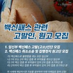 [백신패스] 긴급]백신패스 관련 고발인, 원고 모집- 자유대한호국단