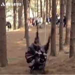 [댓글부탁해] 이방원 동물 <b>학대</b> 논란 봤냐